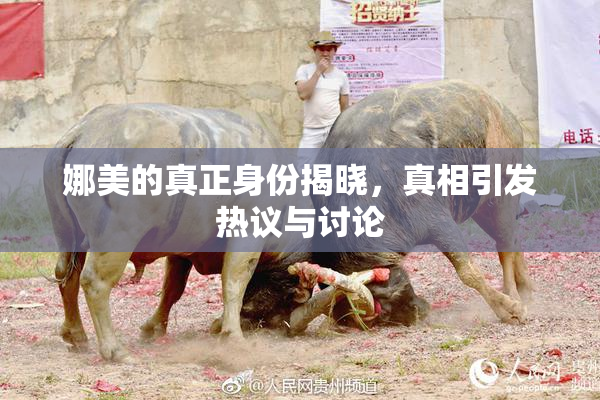 娜美的真正身份揭晓，真相引发热议与讨论