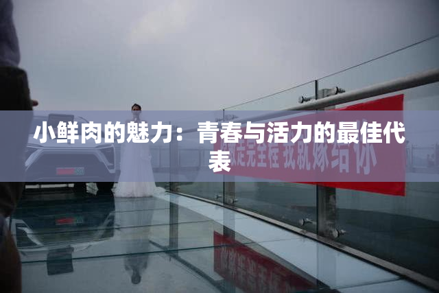 小鲜肉的魅力：青春与活力的最佳代表