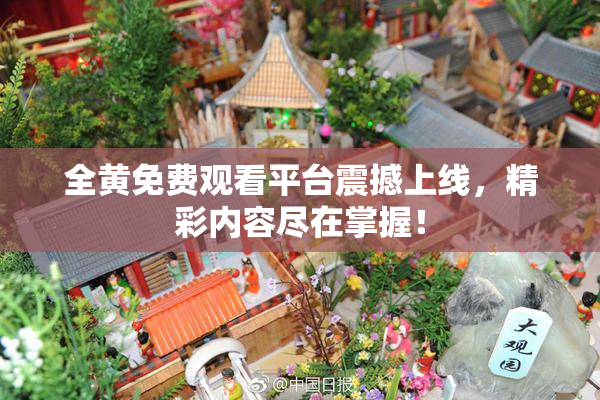 全黄免费观看平台震撼上线，精彩内容尽在掌握！