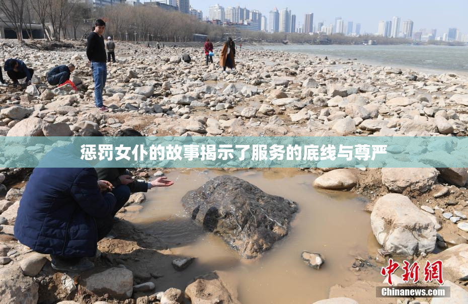 惩罚女仆的故事揭示了服务的底线与尊严