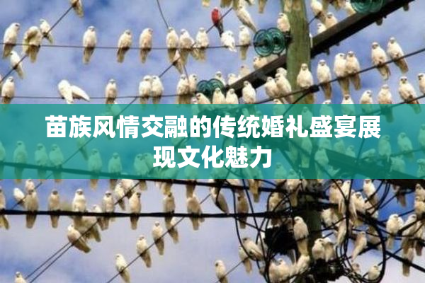 苗族风情交融的传统婚礼盛宴展现文化魅力