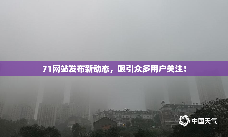 71网站发布新动态，吸引众多用户关注！