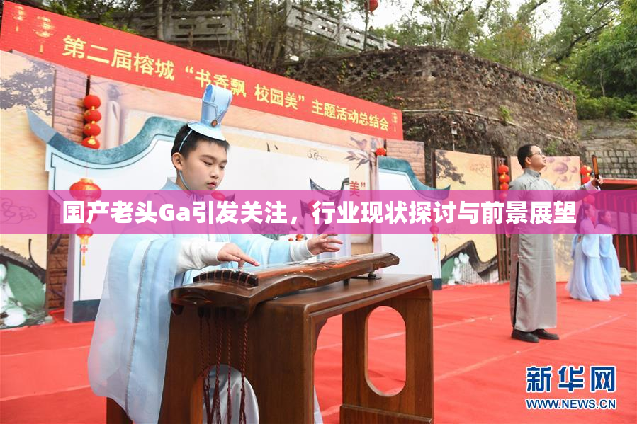 国产老头Ga引发关注，行业现状探讨与前景展望