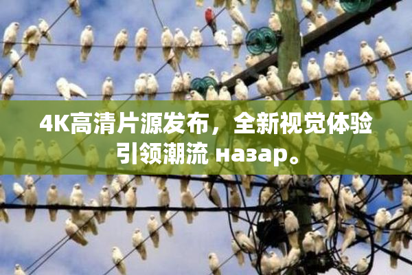4K高清片源发布，全新视觉体验引领潮流 назар。
