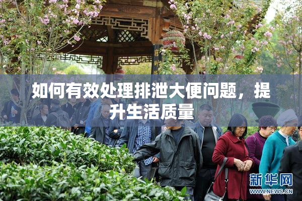 如何有效处理排泄大便问题，提升生活质量