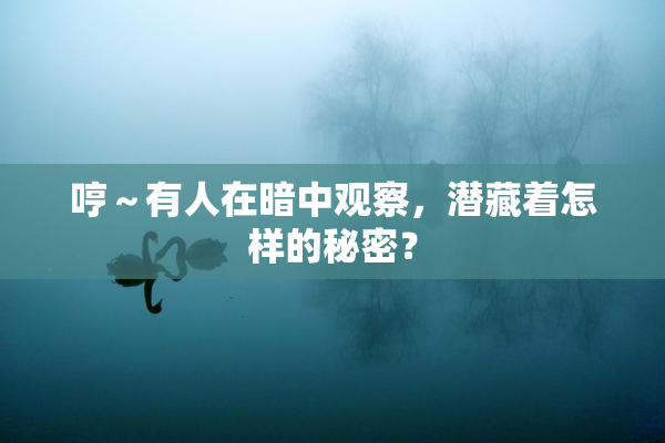 哼～有人在暗中观察，潜藏着怎样的秘密？