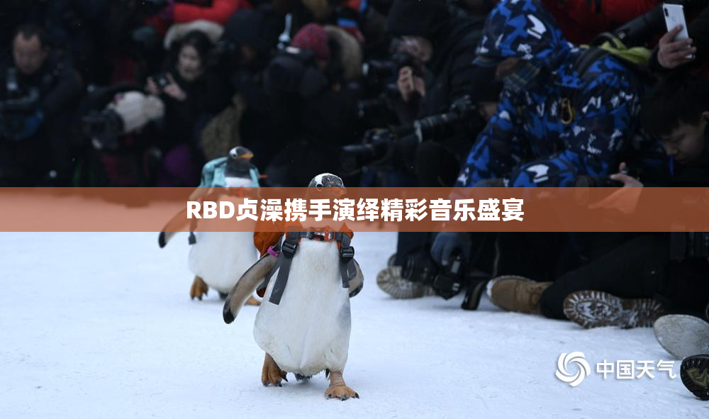 RBD贞澡携手演绎精彩音乐盛宴