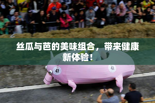 丝瓜与芭的美味组合，带来健康新体验！
