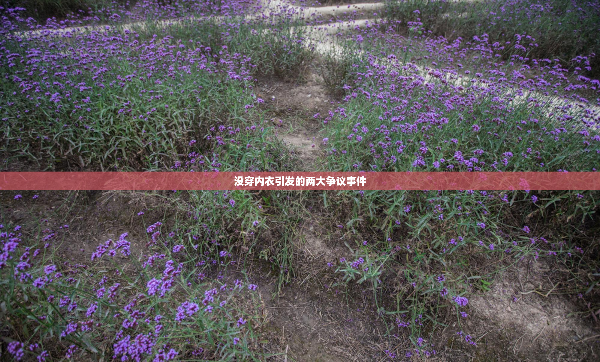 没穿内衣引发的两大争议事件