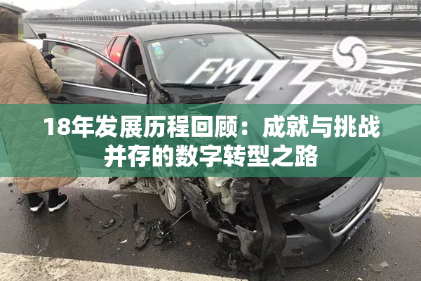 18年发展历程回顾：成就与挑战并存的数字转型之路