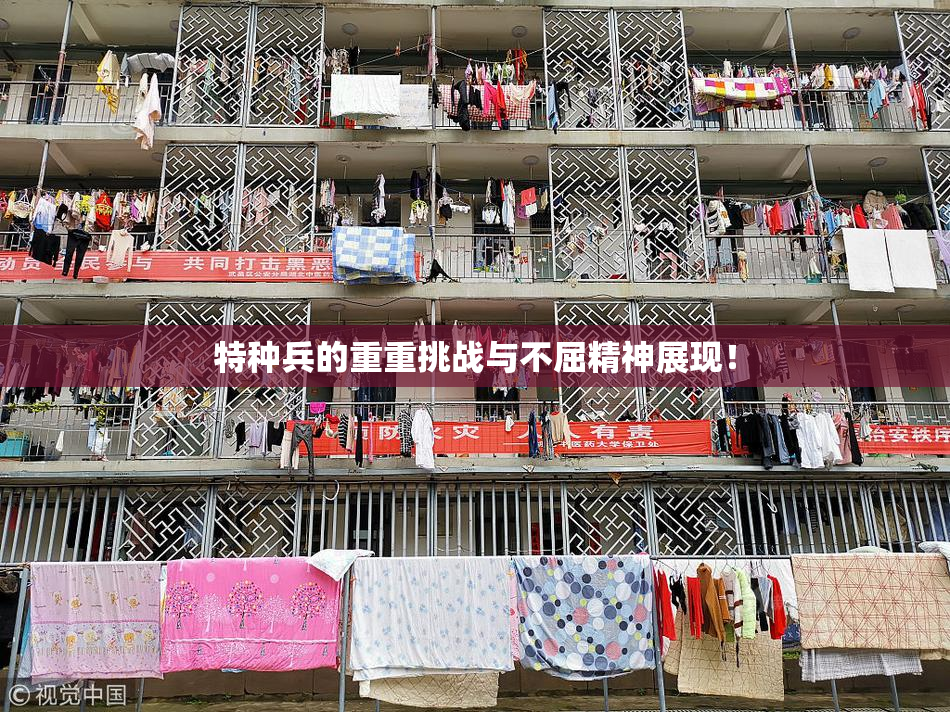 特种兵的重重挑战与不屈精神展现！