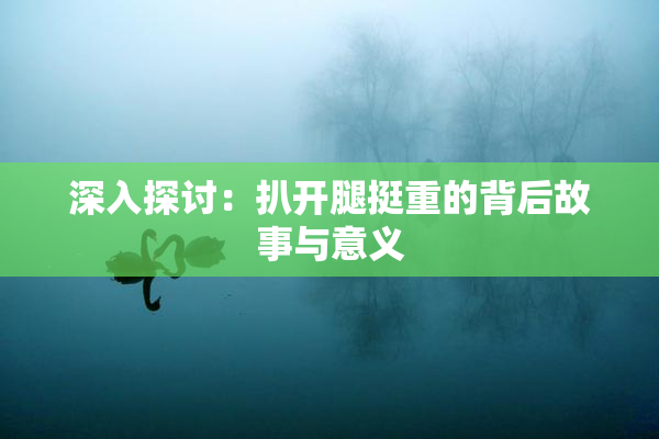 深入探讨：扒开腿挺重的背后故事与意义