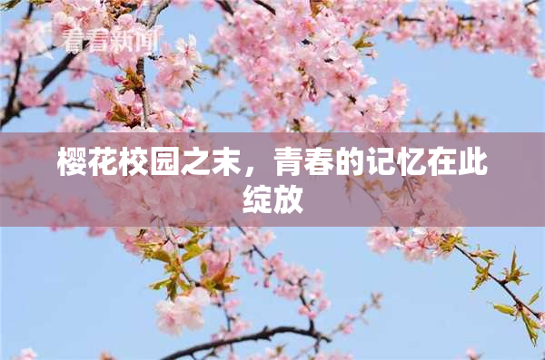 樱花校园之末，青春的记忆在此绽放