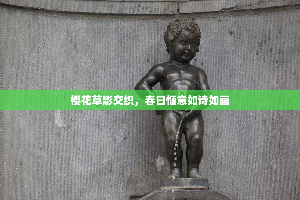 樱花草影交织，春日惬意如诗如画