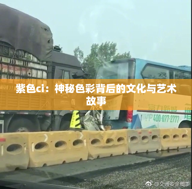 紫色ci：神秘色彩背后的文化与艺术故事