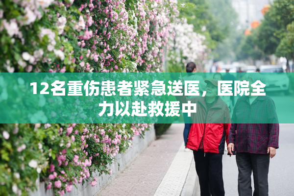 12名重伤患者紧急送医，医院全力以赴救援中