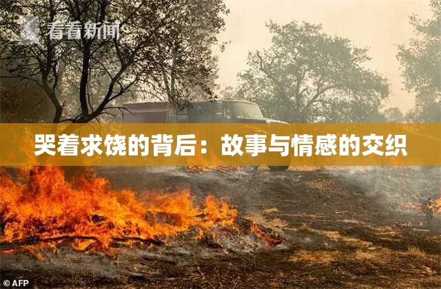 哭着求饶的背后：故事与情感的交织