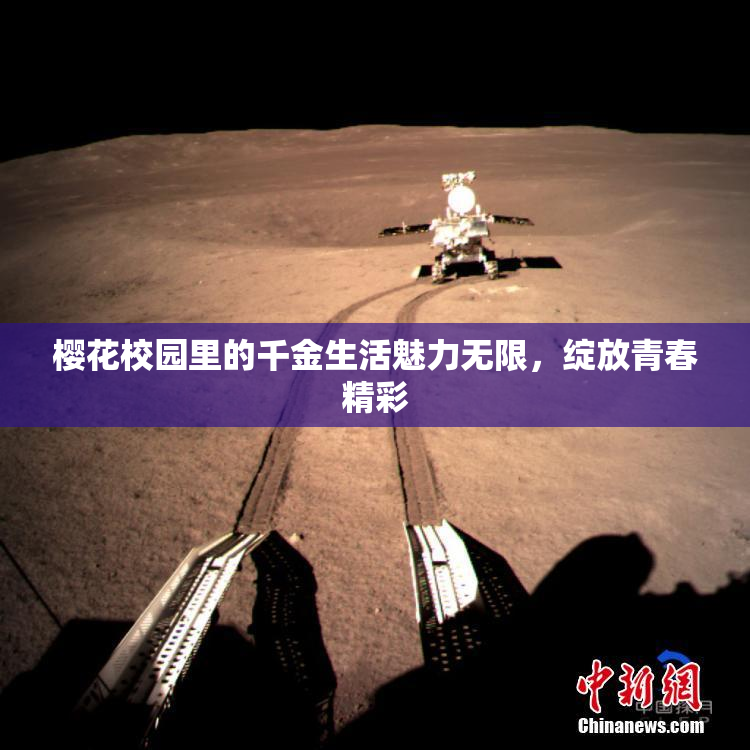 樱花校园里的千金生活魅力无限，绽放青春精彩