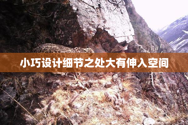 小巧设计细节之处大有伸入空间