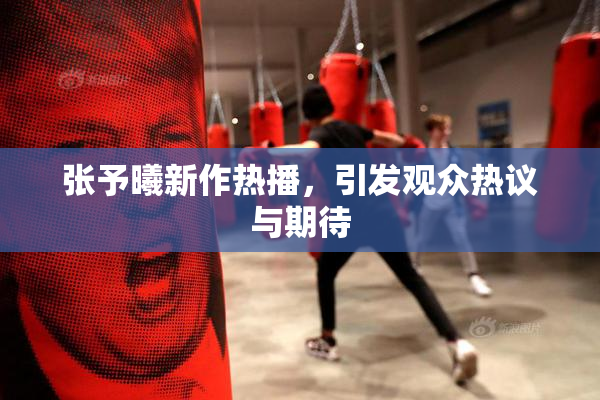 张予曦新作热播，引发观众热议与期待