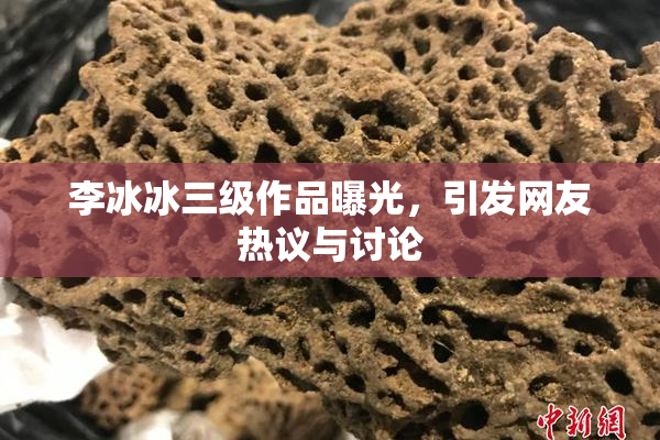 李冰冰三级作品曝光，引发网友热议与讨论