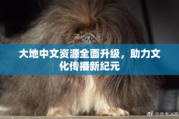 大地中文资源全面升级，助力文化传播新纪元