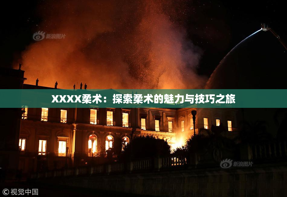 XXXX柔术：探索柔术的魅力与技巧之旅