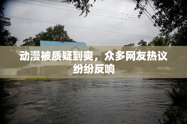 动漫被质疑到爽，众多网友热议纷纷反响