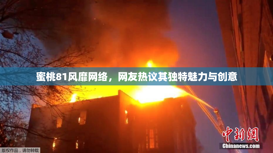 蜜桃81风靡网络，网友热议其独特魅力与创意