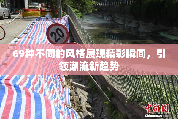 69种不同的风格展现精彩瞬间，引领潮流新趋势