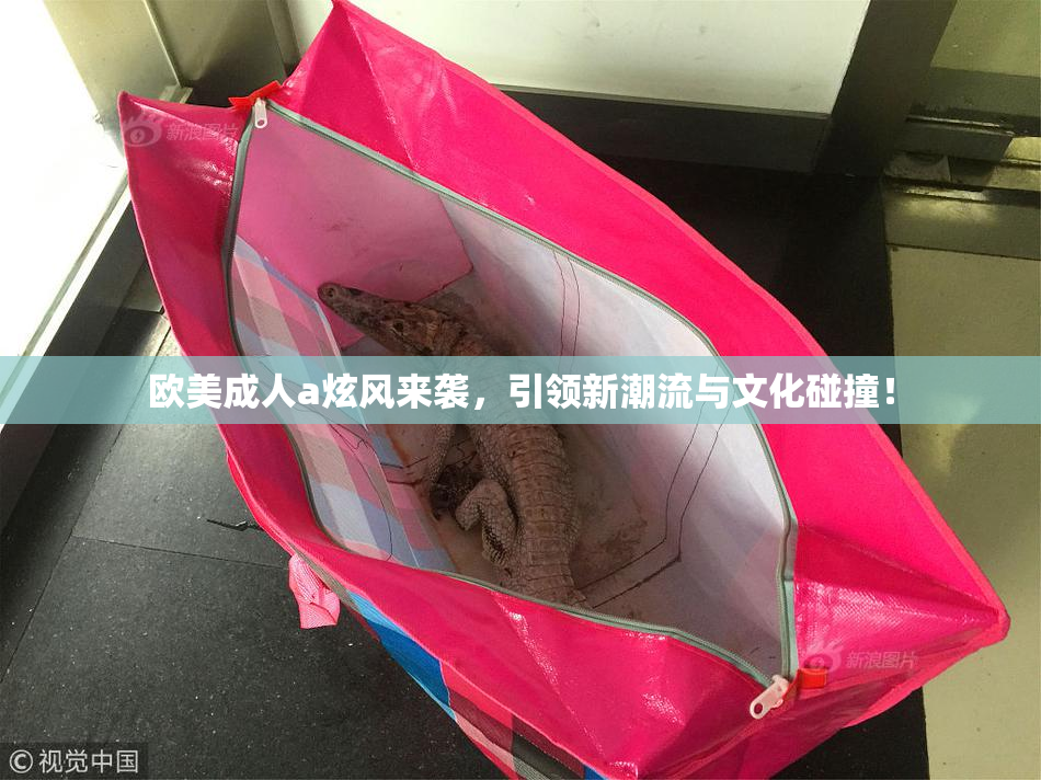 欧美成人a炫风来袭，引领新潮流与文化碰撞！