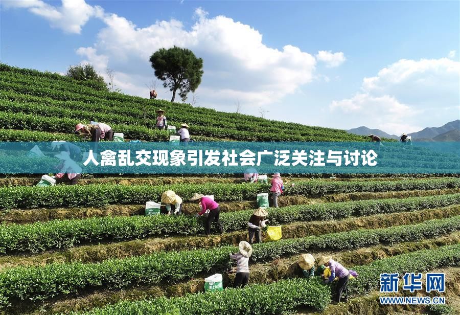 人禽乱交现象引发社会广泛关注与讨论