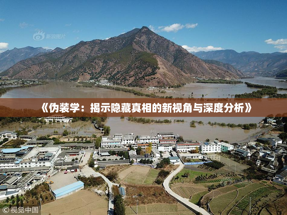 《伪装学：揭示隐藏真相的新视角与深度分析》
