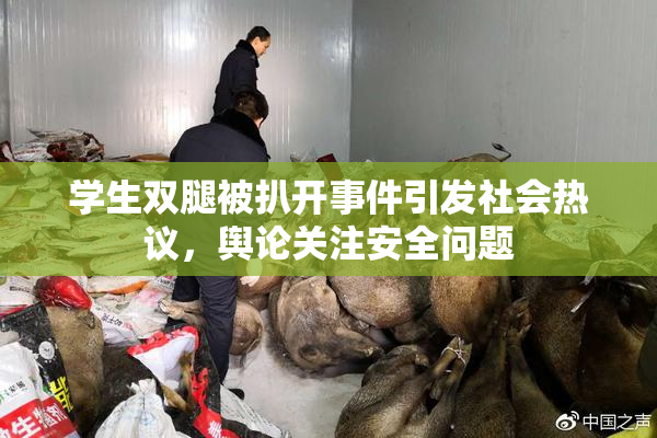 学生双腿被扒开事件引发社会热议，舆论关注安全问题