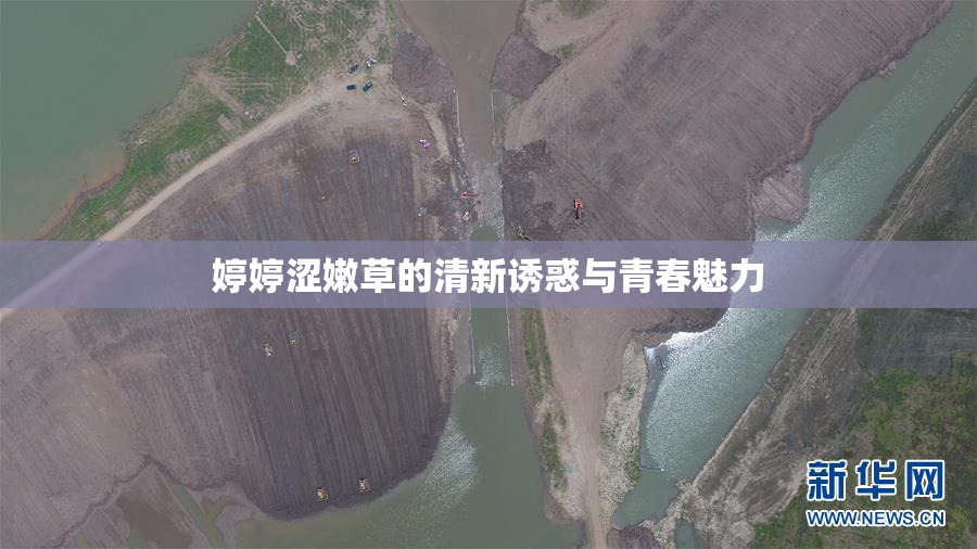 婷婷涩嫩草的清新诱惑与青春魅力