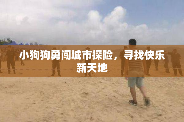 小狗狗勇闯城市探险，寻找快乐新天地