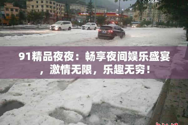 91精品夜夜：畅享夜间娱乐盛宴，激情无限，乐趣无穷！