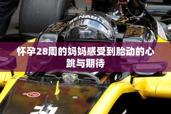 怀孕28周的妈妈感受到胎动的心跳与期待
