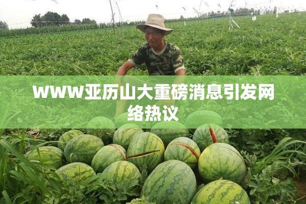 WWW亚历山大重磅消息引发网络热议