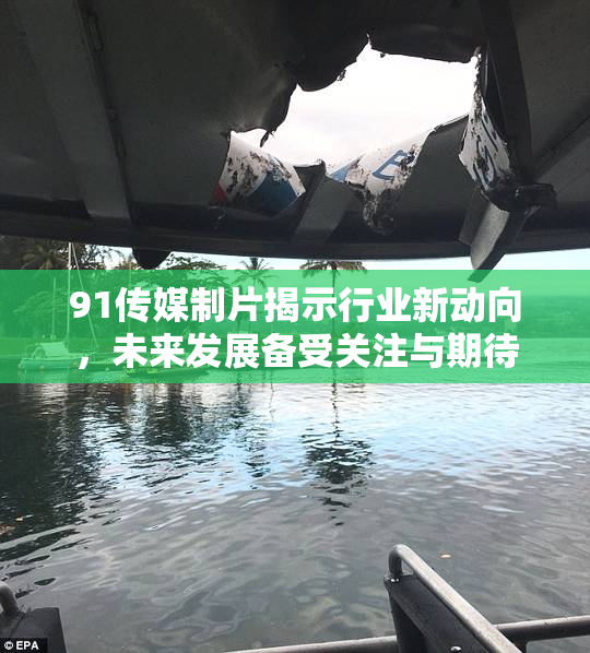 91传媒制片揭示行业新动向，未来发展备受关注与期待