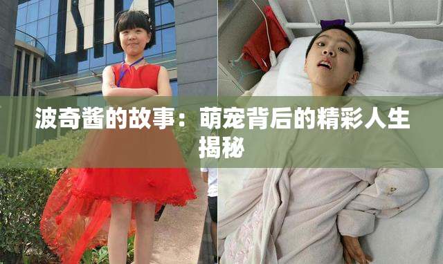 波奇酱的故事：萌宠背后的精彩人生揭秘