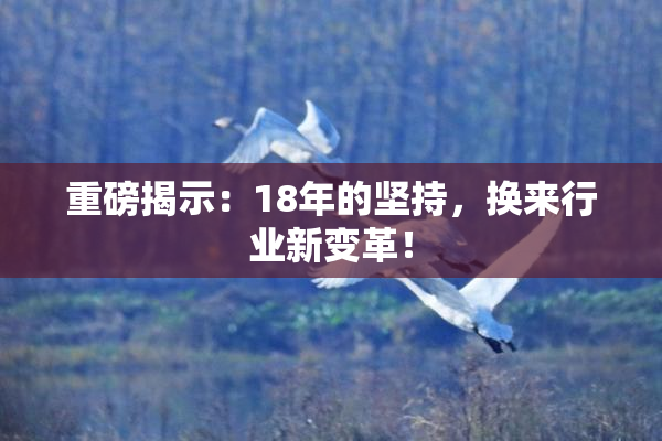 重磅揭示：18年的坚持，换来行业新变革！