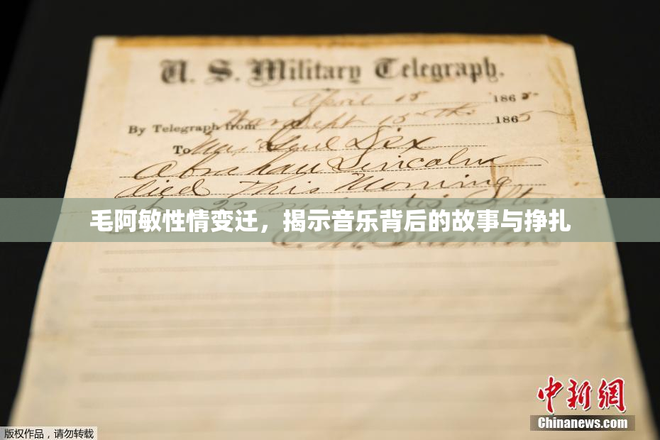 毛阿敏性情变迁，揭示音乐背后的故事与挣扎