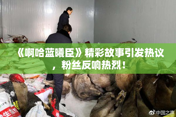 《啊哈蓝曦臣》精彩故事引发热议，粉丝反响热烈！