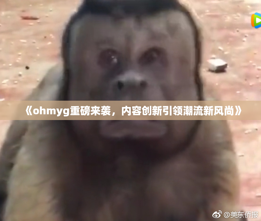 《ohmyg重磅来袭，内容创新引领潮流新风尚》
