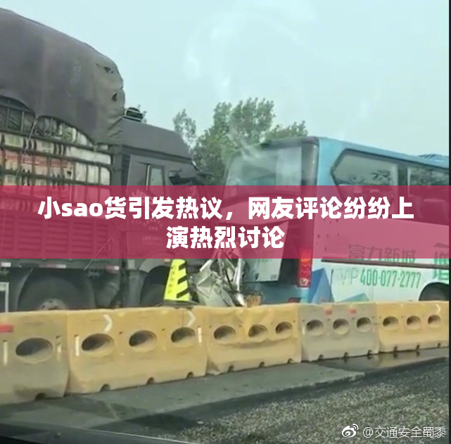 小sao货引发热议，网友评论纷纷上演热烈讨论
