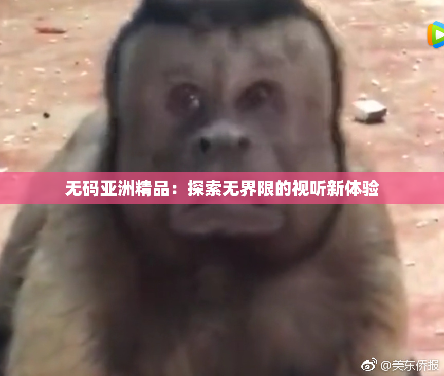 无码亚洲精品：探索无界限的视听新体验