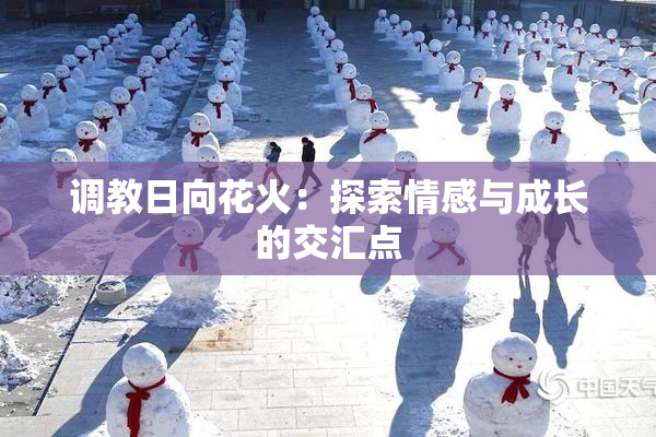调教日向花火：探索情感与成长的交汇点