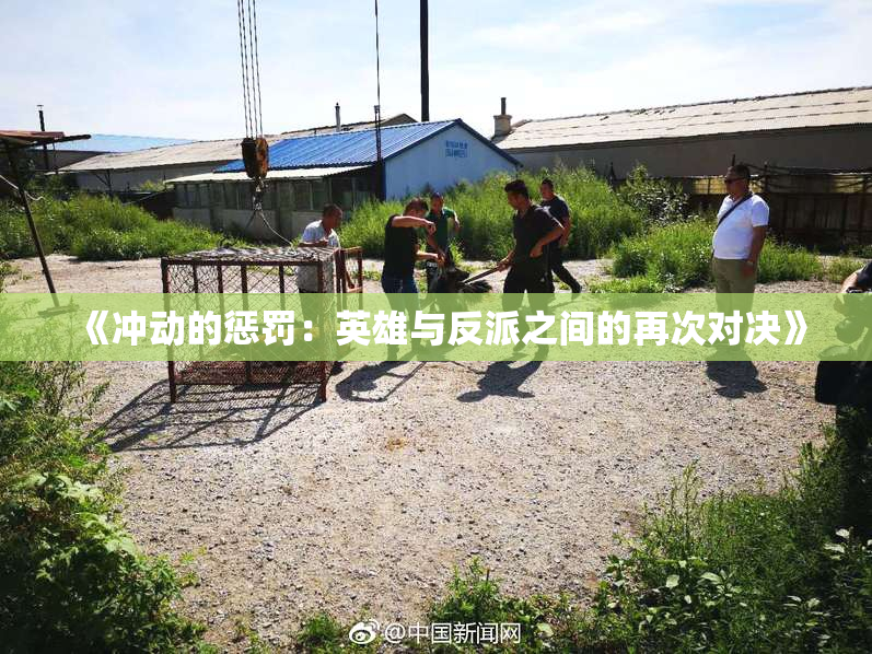 《冲动的惩罚：英雄与反派之间的再次对决》