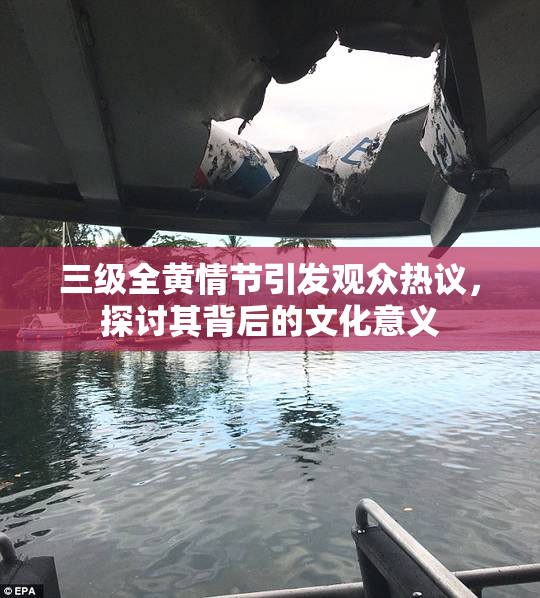 三级全黄情节引发观众热议，探讨其背后的文化意义